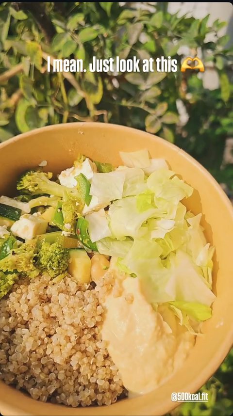 500Kcal.fit customer testimonial screenshot
